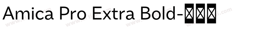 Amica Pro Extra Bold字体转换 Amica Pro Extra Bold字体转换